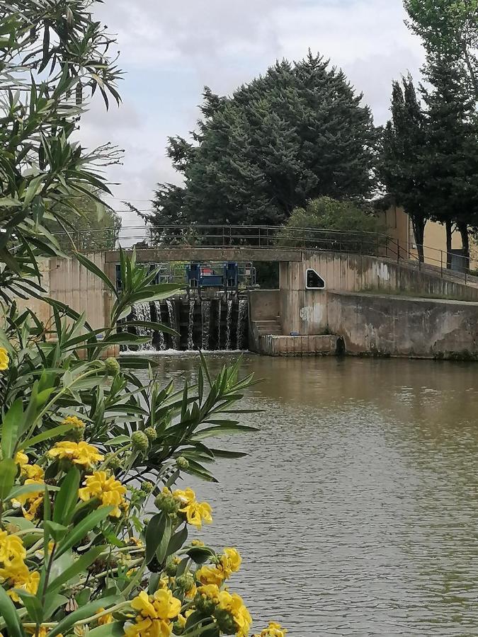 Villa Sainte Marie ناربون المظهر الخارجي الصورة