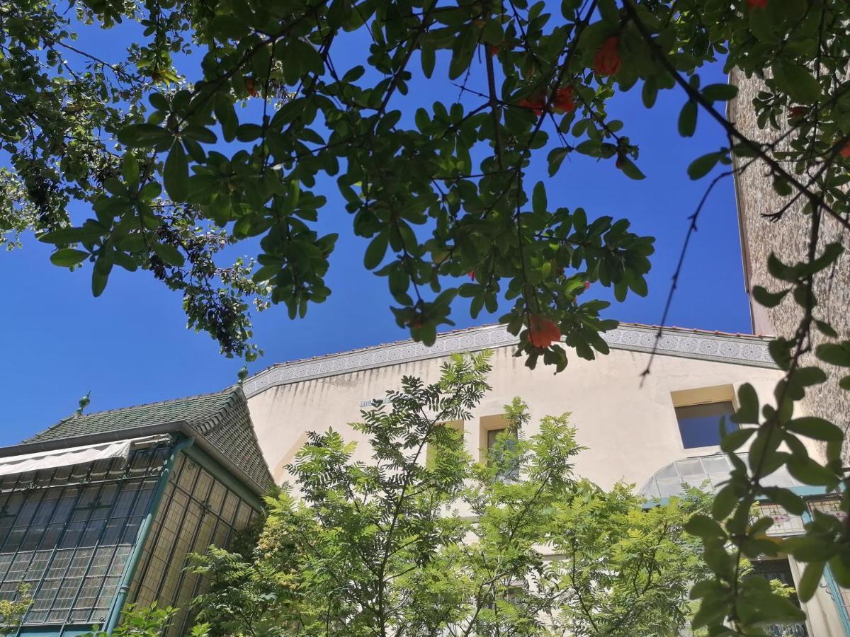 Villa Sainte Marie ناربون المظهر الخارجي الصورة