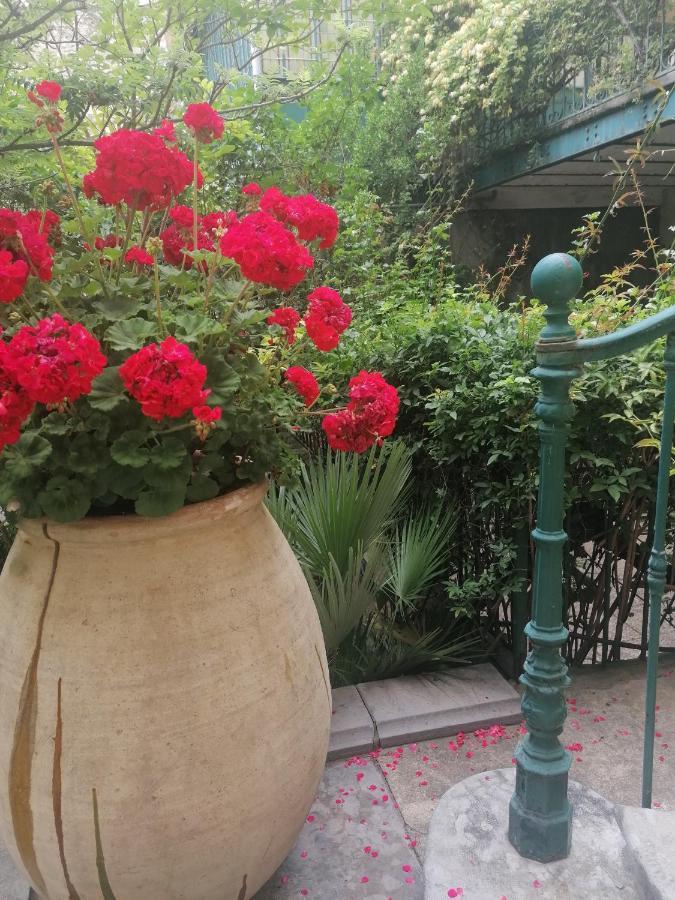 Villa Sainte Marie ناربون المظهر الخارجي الصورة